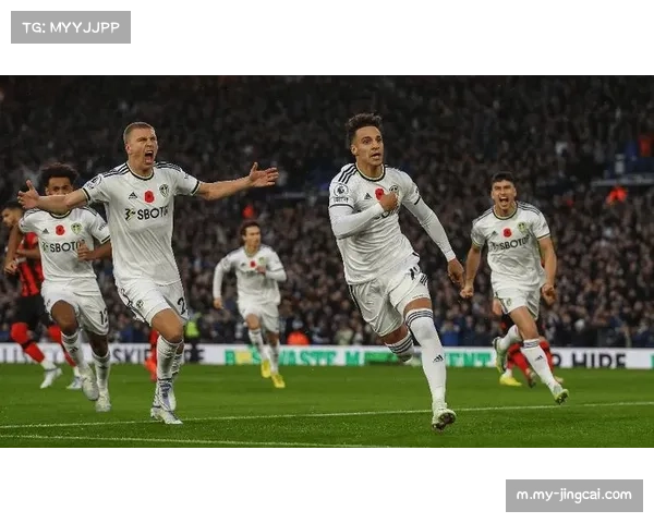 水晶宫与利兹联展开对决 英超第30轮保级关键战打响